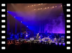 Black Crowes